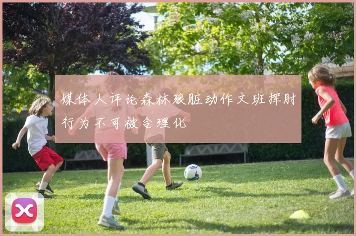 媒体人评论森林狼脏动作文班挥肘行为不可被合理化